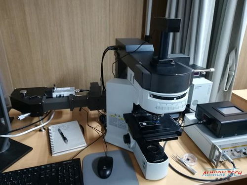 紅外與拉曼光譜技術(shù) 原理、應(yīng)用與技術(shù)交流綜述