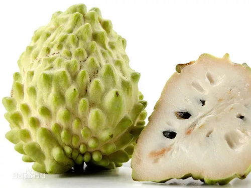 均安人必看！這種全身是寶的應季水果正新鮮上市，別錯過了